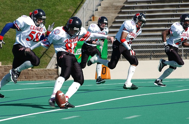 带来的新机 带来的新机