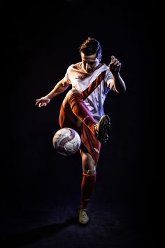 提供了新鲜 提供了新鲜