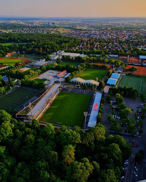 置后其发展 置后其发展