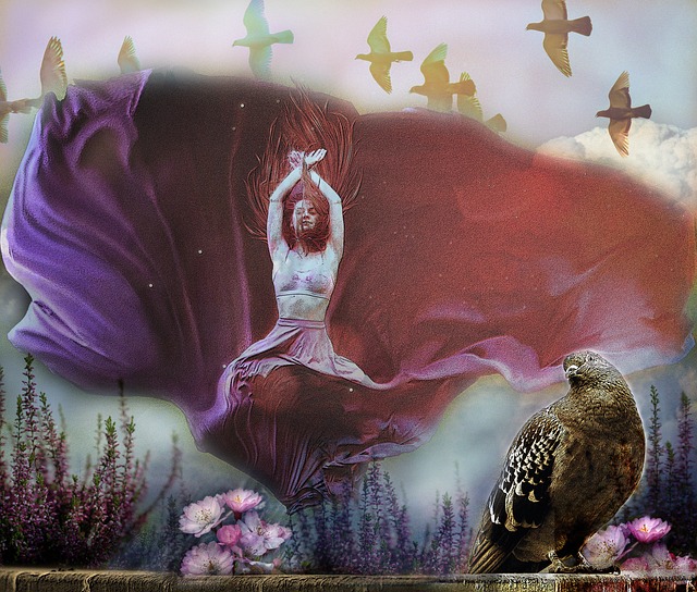 特納斯便是 特納斯便是